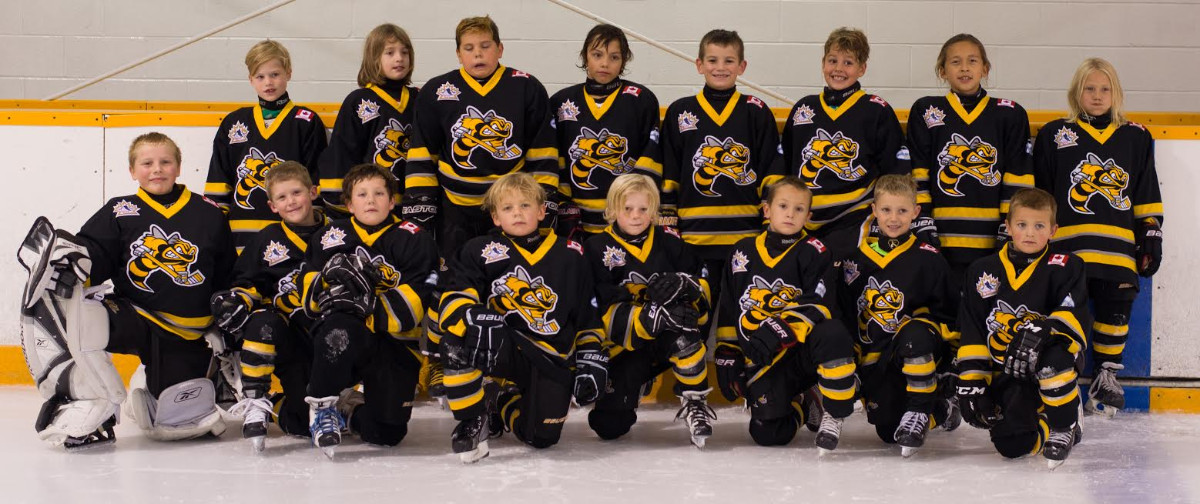 Minor_Novice_Team.jpg