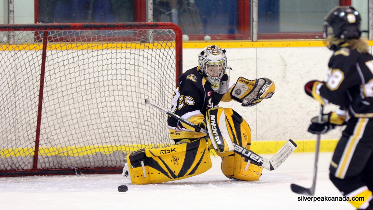 SilverPeak_Studios_Canada_Sarnia_Hockey_House_League_Travel_Home_Games_Clearwater_Arena_Jr_Sting_Sabers_Action_Photography_(26).JPG